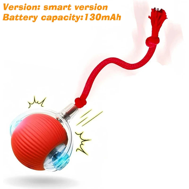 Interactive Rolling Ball Toy for Cats & Dogs - Automatic Chase & Play